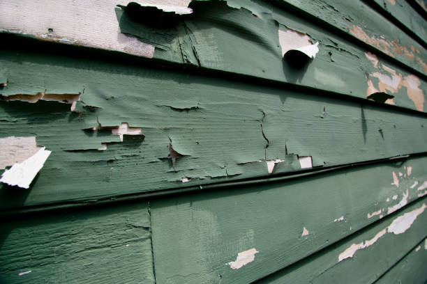 Best Fascia and Soffit Installation  in Varnell, GA