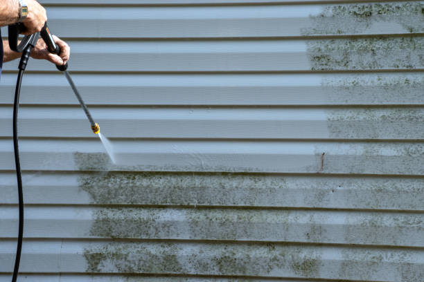 Best Siding Painting and Refinishing  in Varnell, GA